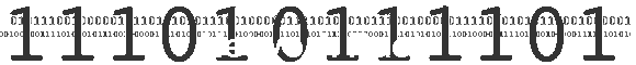 Network Rack